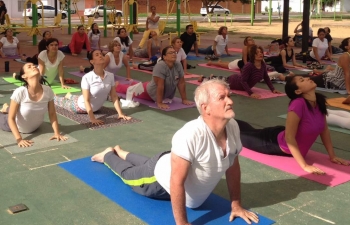 celebrated International Day of Yoga 2017 