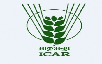 ICAR International Fellowships for the Year 2019-20